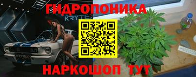 каннабис Кингисепп
