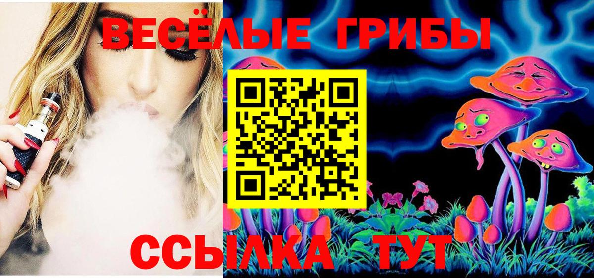 Псилоцибиновые грибы Psilocybe Ростов Великий